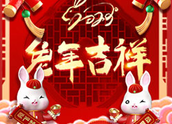 玉兔送福，開(kāi)門(mén)大吉！廣東微肽給您拜年了！