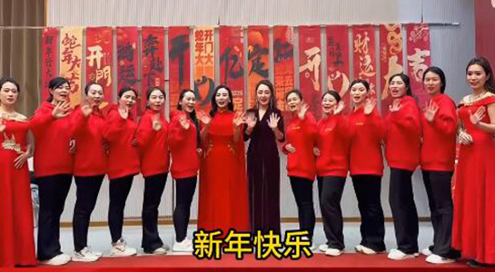 蛇年好運(yùn)至，幸福滿人間！飛斯達(dá)祝您百事從歡，一路向陽！