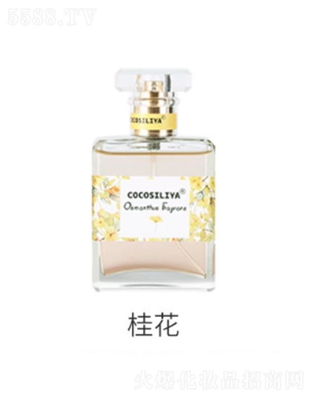 cocosiliyaˮ-