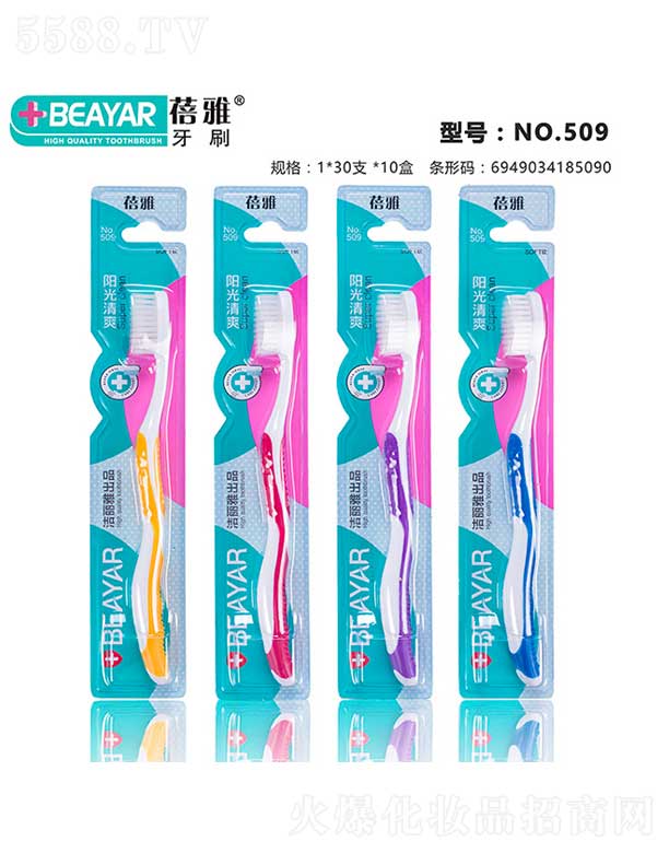 ������ˢNO.509