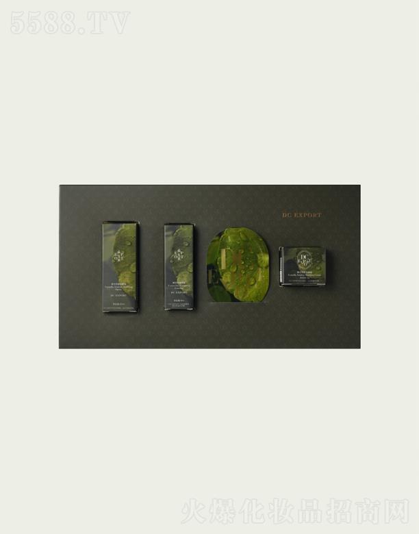 DC EXPORT�eѩ����Y�b