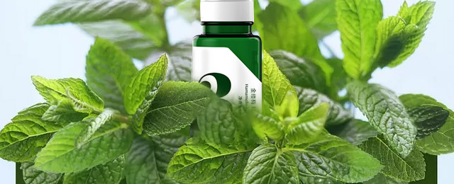 �ł�(g��)�ط���|÷���AҺ